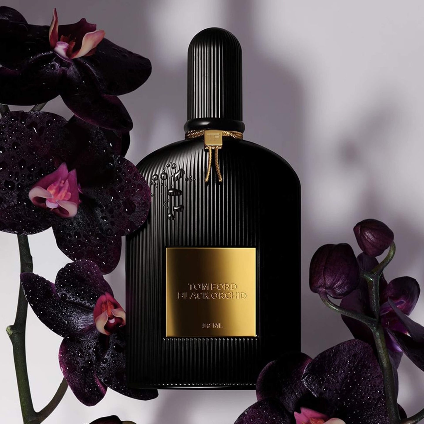 DECANT • Black Orchid