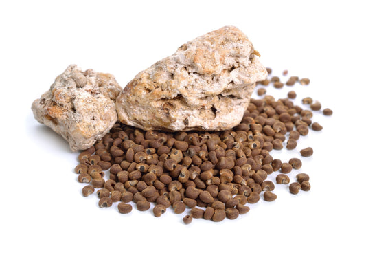 Ambra în parfumerie – Taina care dă suflet parfumurilor