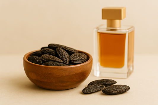 Tonka – dulceața care îmblânzește puterea parfumului