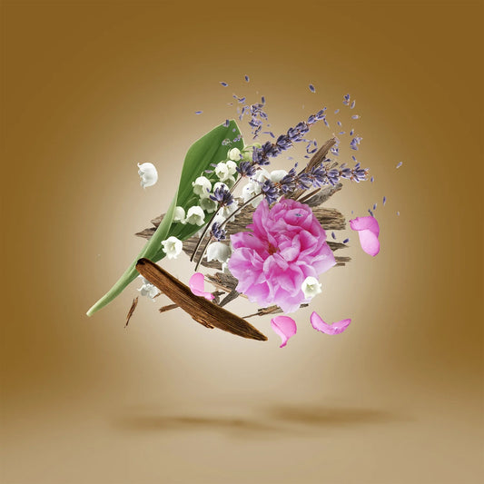 DECANT • Alexandria II