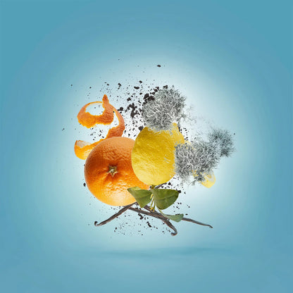 DECANT • Erba Pura