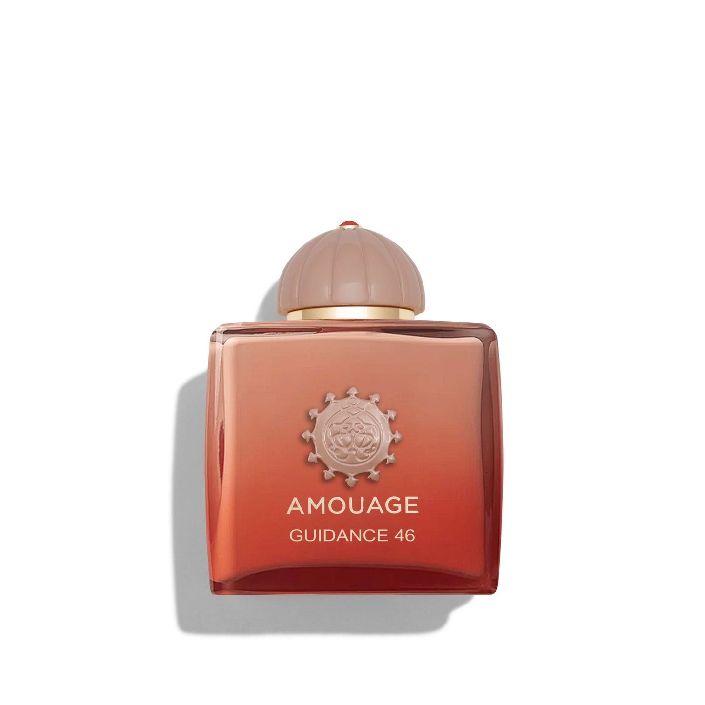 DECANT • Guidance 46