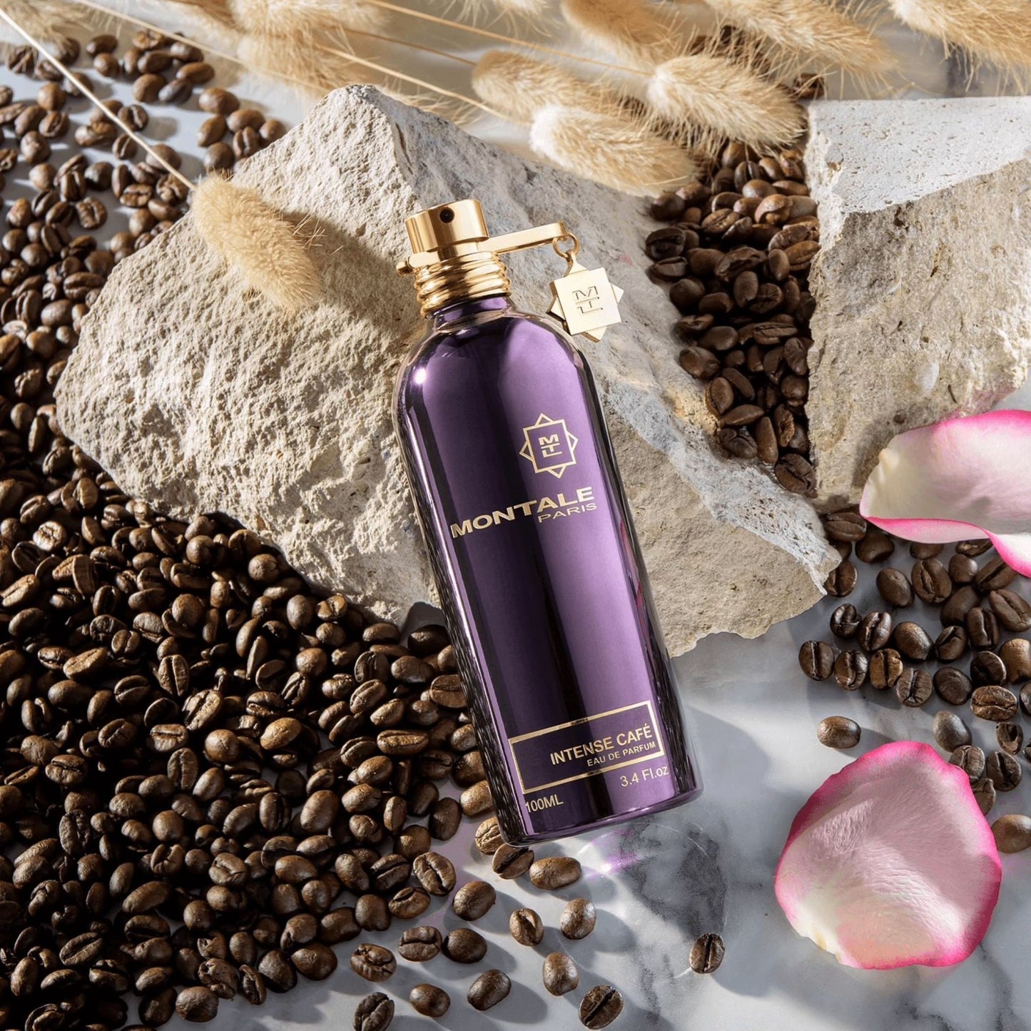 DECANT • Intense Café