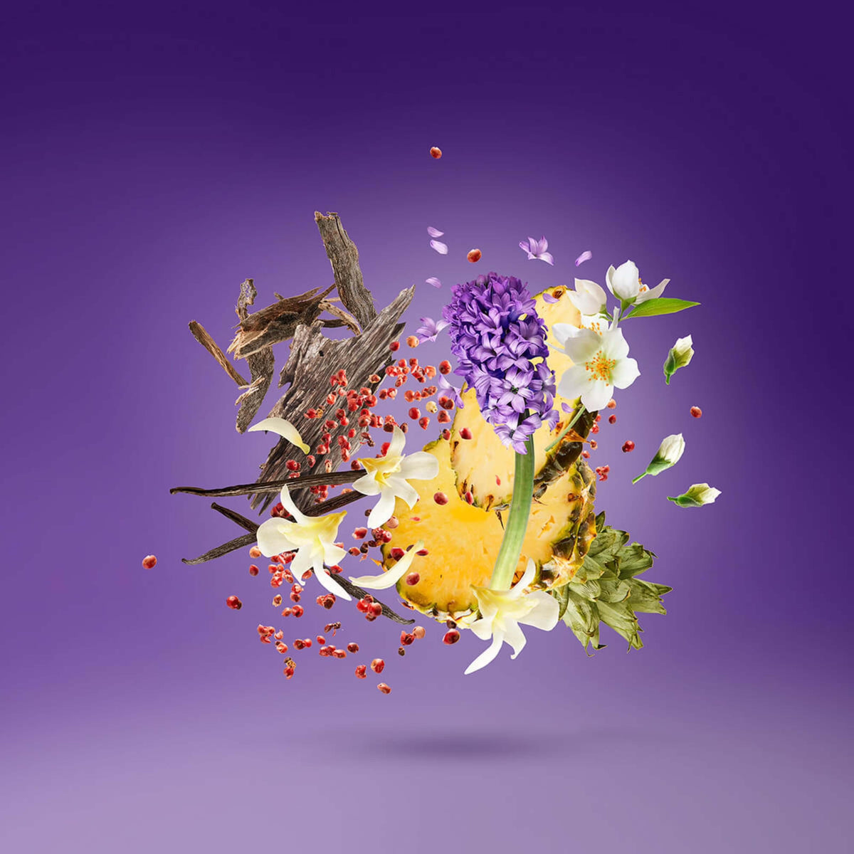 DECANT • Purple Accento