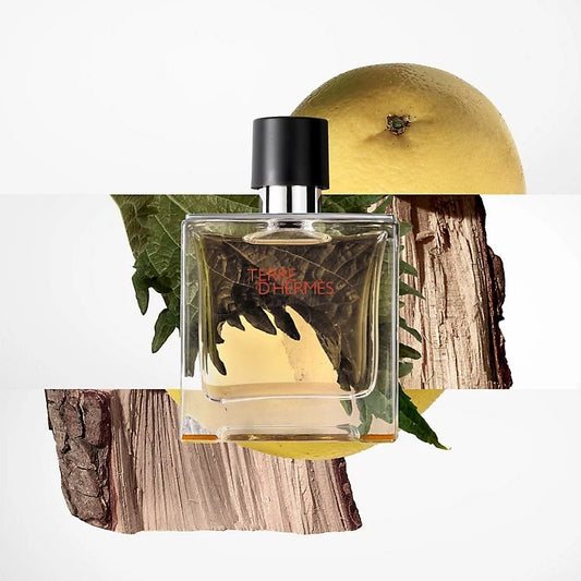 DECANT • Terre D'Hermes Pure Parfum