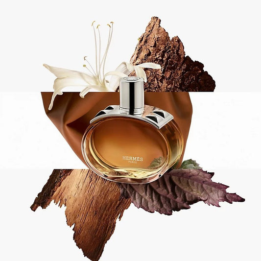 DECANT • Barenia Intense